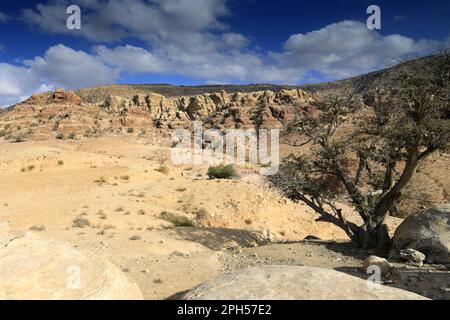 Le paysage de la vallée de Shkaret Mseid, Wadi Musa, centre-sud de la Jordanie, Moyen-Orient Banque D'Images