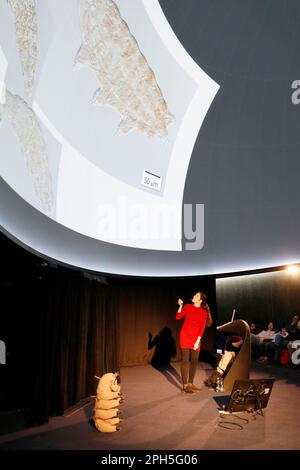 Pendant l'occasion de présenter un aperçu d'un micromonde plein de créatures fantastiques pendant les « Days of Electron Microscopy in Brno » en cours Banque D'Images