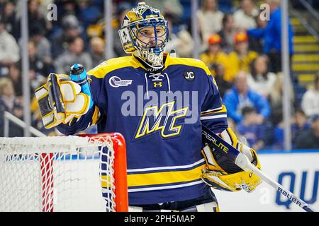 Bridgeport, Connecticut, États-Unis. 24th mars 2023. Le gardien de but de Merrimack Zachary Borgiel (29) prend une pause pendant la NCAA DI Men's Ice Hockey Bridgeport Regionals contre Quinnipiac à Total Mortgage Arena à Bridgeport, Connecticut. Rusty Jones/Cal Sport Media/Alamy Live News Banque D'Images