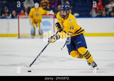 Bridgeport, Connecticut, États-Unis. 24th mars 2023. Quinnipiac en avant Victor Czerneckianair (14) skate pendant la NCAA DI Men Ice Hockey Bridgeport Regionals contre Merrimack à Total Mortgage Arena à Bridgeport, Connecticut. Rusty Jones/Cal Sport Media/Alamy Live News Banque D'Images