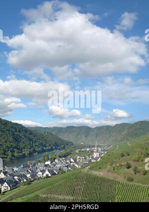 Village viticole d'Ediger-Eller, rivière de la Moselle, vallée de la Moselle, Allemagne Banque D'Images