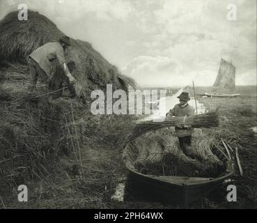 Rucking the Reed 1881 par Peter Henry Emerson Banque D'Images