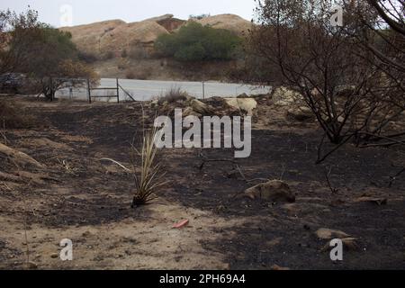 Woolsey les suites des incendies près du laboratoire de campagne de Santa Susana, dans les collines Simi, en Californie Banque D'Images