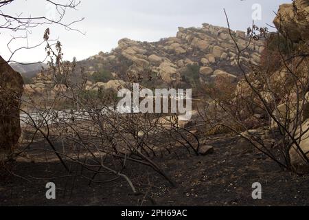 Woolsey les suites des incendies près du laboratoire de campagne de Santa Susana, dans les collines Simi, en Californie Banque D'Images