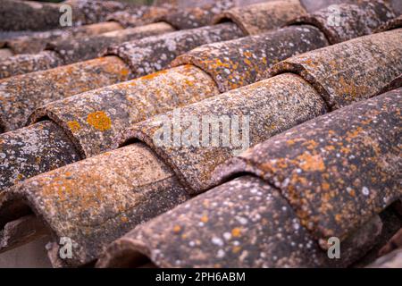 Détail de l'ancien toit avec carreaux anciens et vieux carreaux incurvés et avec un éclairage doux du matin Banque D'Images