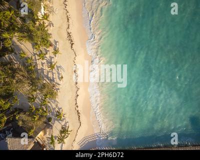 Forêt de palmiers sur une plage de sable. Vue de dessus. Mer émeraude transparente. Resort. Des vacances d'élite, un endroit confortable. Romance, solitude, écologie, beau natu Banque D'Images