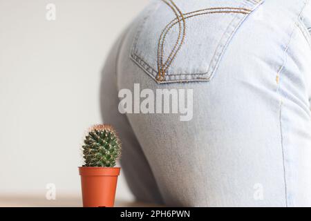 Femme en Jean est assise sur le cactus à pointes poussant dans le pot brun Banque D'Images