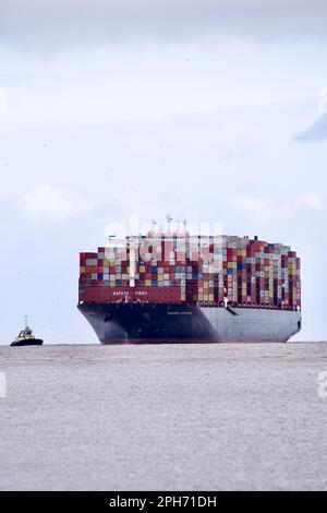 Le bateau à conteneurs Maersk Compton entre dans le port de Felixstowe, Suffolk, Royaume-Uni, assisté de remorqueurs. Banque D'Images