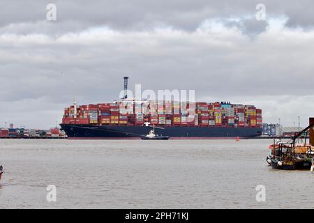 Le bateau à conteneurs Maersk Compton entre dans le port de Felixstowe, Suffolk, Royaume-Uni, assisté de remorqueurs. Banque D'Images