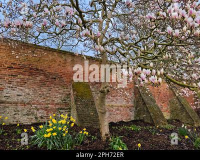 Waterlow Park est un jardin de 12 hectares pour les promenades et les pique-niques, avec vue sur la ville, étangs et arbres matures, Highgate, Londres Banque D'Images