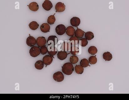 Haut de la vue des baies séchées rosehIPS sur fond blanc isolé. Banque D'Images