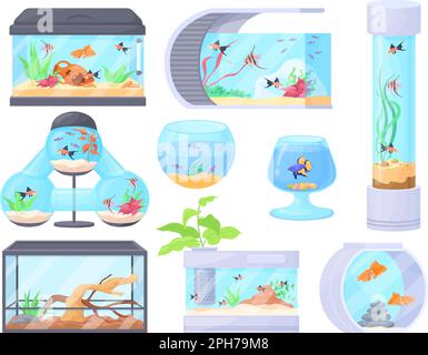 Aquariums à la maison. Bol carré pot verre aquarium réservoir avec animaux sous-marins poissons ou reptiles animaux et plantes de mer décorations, maison d'eau, dessin animé vecteur net illustration du verre d'aquarium pour poissons Illustration de Vecteur