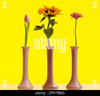 Photo sur le thème de la nature de magnifiques fleurs de Marguerite, tulipe et tournesol se tenant côte à côte sur fond jaune Banque D'Images