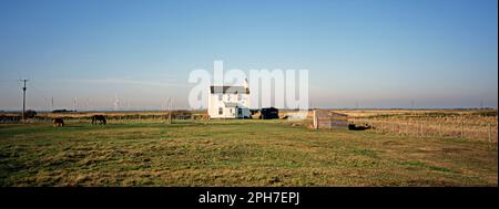 Champ par Lydd Road, près de Camber Sands, à la frontière Sussex/Kent. En arrière-plan, il y a la petite ferme éolienne de Cheyne court et les lignes électriques de Dungeness Nucl Banque D'Images