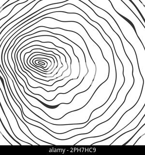 Texture de la section transversale du tronc. Anneaux d'arbre en forme de caniche linéaire. Tampon tracé à la main en bois isolé sur fond blanc. Conception topographique. Illustration vectorielle Illustration de Vecteur