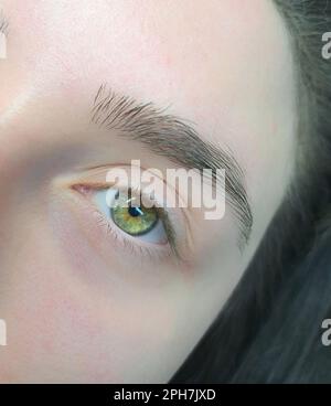 gros plan de l'oeil vert avant les extensions de cils, soin de salon de beauté. Photo de haute qualité Banque D'Images