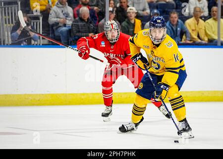 Bridgeport, Connecticut, États-Unis. 26th mars 2023. Quinnipiac Bobcats avance Jacob Quillan (16) se met en position lors de la finale régionale de Bridgeport de hockey sur glace DI NCAA contre les Buckees de l'État de l'Ohio à la Total Mortgage Arena de Bridgeport, Connecticut. Rusty Jones/Cal Sport Media/Alamy Live News Banque D'Images