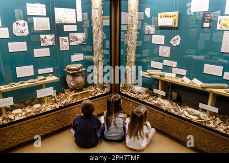 Pocono Mountains Poconos Pennsylvania,Honesdale,Wayne County Historical History Society Museum,histoire,collections,exposition collection,PROM Banque D'Images
