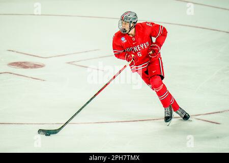 Bridgeport, Connecticut, États-Unis. 26th mars 2023. L'État de l'Ohio, Mason Lohrei (6), défenseur de Buckees, fait monter la glace lors de la finale régionale du Bridgeport de hockey sur glace DI de la NCAA contre les Bobcats Quinnipiac à la Total Mortgage Arena de Bridgeport, Connecticut. Rusty Jones/Cal Sport Media/Alamy Live News Banque D'Images