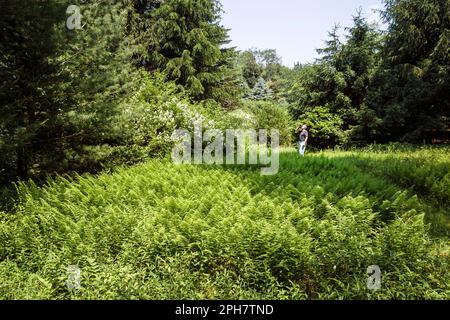 Pocono Mountains Poconos Pennsylvania, White Mills, Dorflinger Suydam Wildlife Sanctuary, les visiteurs Voyage voyage touristique site touristique Landma Banque D'Images