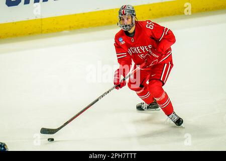 Bridgeport, Connecticut, États-Unis. 26th mars 2023. Ohio State Buckees defenseman CJ Regula (65) déplace le palet lors de la finale régionale de Bridgeport de hockey sur glace DI NCAA contre les Bobcats Quinnipiac à la Total Mortgage Arena de Bridgeport, Connecticut. Rusty Jones/Cal Sport Media/Alamy Live News Banque D'Images