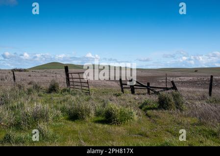 Une porte ouverte dans un pâturage avec principalement de l'herbe brune indiquant la fin de la saison de pâturage dans la vallée centrale de la Californie, avec des collines ondulantes dans le b Banque D'Images
