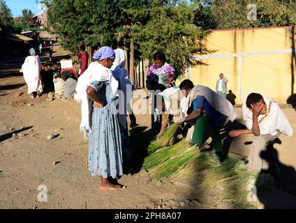 Femmes vendant des piles de l'herbe éthiopienne traditionnelle à vendre sur un marché. L'herbe est utilisée dans la cérémonie du café éthiopien. Banque D'Images