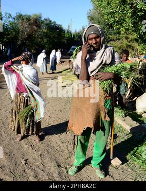 Femmes vendant des piles de l'herbe éthiopienne traditionnelle à vendre sur un marché. L'herbe est utilisée dans la cérémonie du café éthiopien. Banque D'Images