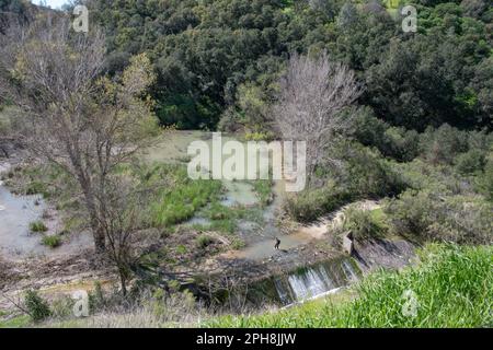 Une inondation dans les contreforts de Diablo tandis qu'une zone humide traverse un sentier de randonnée et un randonneur qui se déverse dans l'eau en Californie. Banque D'Images