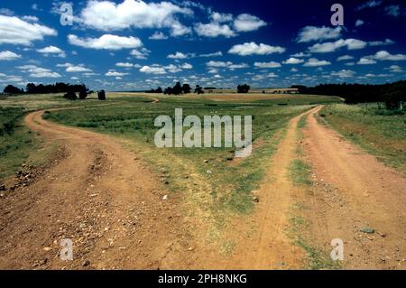 Prenez la route sur la San Pedro Del Timote Estancia dans la province de Floride dans le centre-sud de l'Uruguay Banque D'Images