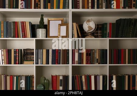 Collection de livres et éléments de décoration sur les étagères. Bibliothèque personnelle Banque D'Images