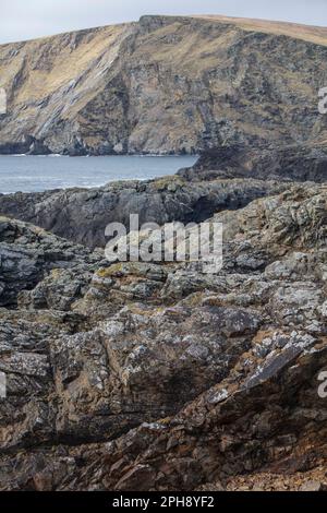 Une bouteille de fer, les restes d'un fumeur noir, se trouve à l'extrémité de Garths Nest, sur l'île de Shetland Banque D'Images