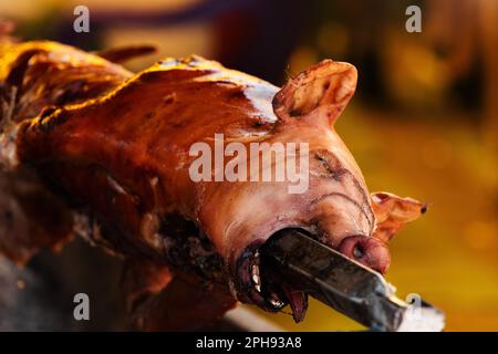 Crachat de porc entier rôti au festival traditionnel en Serbie, foyer sélectif Banque D'Images