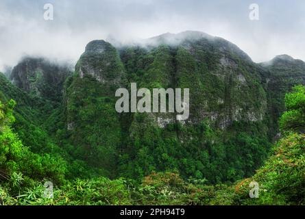 Paysage de forêt tropicale de montagne. Vue sur les montagnes sur la route Queimadas Forestry Park - Caldeirao Verde. Île de Madère, Portugal, Europe. Banque D'Images