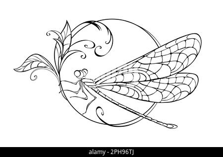 Assise en cercle, dragonfly dessinée artistiquement et contourée avec des ailes à motifs et détaillées sur fond blanc. Le dessin original de libellule. Illustration de Vecteur