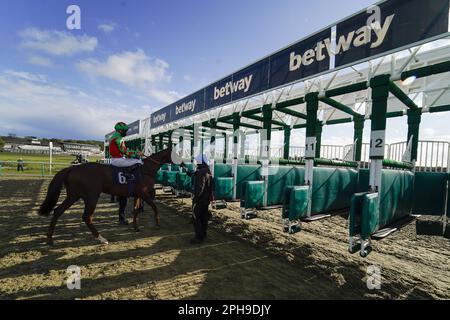 Photo du dossier datée du 06-10-2020 de Rewired, un conseil pour le 4,00 à Wincanton. Date de publication : lundi 27 mars 2023. Banque D'Images