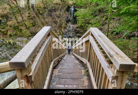 Pont des mineurs de l'autre côté de la rivière Llugwy, près de Betws-y-Coed, Conwy, Snowdonia, pays de Galles Banque D'Images