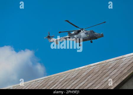 Hélicoptère Wildcat de l'Armée britannique, 6 Regiment, corps d'armée de l'air Banque D'Images