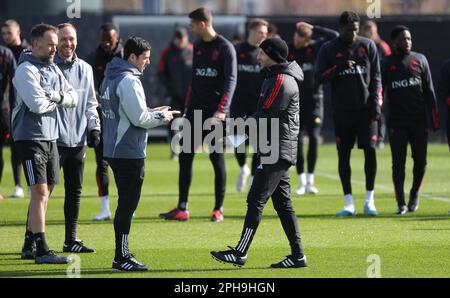 Tubize, Belgique. 27th mars 2023. Domenico Tedesco Gestures, entraîneur en chef de Belgique, lors d'une session d'entraînement de l'équipe nationale belge de football Red Devils, le lundi 27 mars 2023, au siège de l'Association Royale de football belge RBFA à Tubize. Les Red Devils se préparent à un match amical de demain contre l'Allemagne. BELGA PHOTO VIRGINIE LEFOUR crédit: Belga News Agency/Alay Live News Banque D'Images