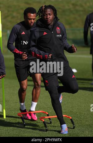 Tubize, Belgique. 27th mars 2023. Johan Bakayoko, en Belgique, photographié en action lors d'une séance d'entraînement de l'équipe nationale belge de football Red Devils, lundi 27 mars 2023, au siège de la Royal Belgian football Association RBFA à Tubize. Les Red Devils se préparent à un match amical de demain contre l'Allemagne. BELGA PHOTO VIRGINIE LEFOUR crédit: Belga News Agency/Alay Live News Banque D'Images
