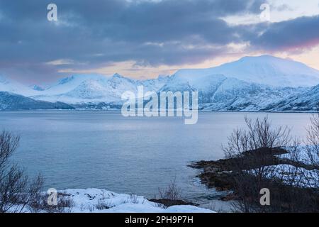 Morgenstimmung auf der Insel Senja und Kvaløya im Winter in Norwegen. DAS Morgenrot färbt schneebematte Berge und Wolken rötlich, lits Haus am Ufer Banque D'Images