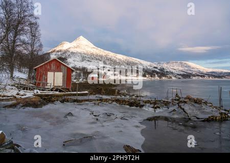 Morgenstimmung auf der Insel Senja und Kvaløya im Winter in Norwegen. DAS Morgenrot färbt schneebematte Berge und Wolken rötlich, lits Haus am Ufer Banque D'Images