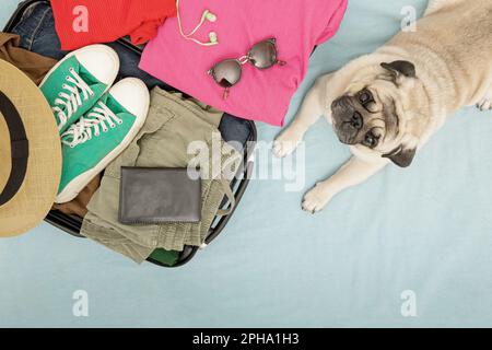 Un chien beige se trouve tristement près d'une valise avec des vêtements, attendant que les propriétaires partent en vacances ou en voyage. Vue de dessus Banque D'Images