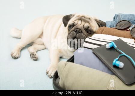 Un chien beige se trouve tristement près d'une valise avec des vêtements, attendant que les propriétaires partent en vacances ou en voyage. Banque D'Images