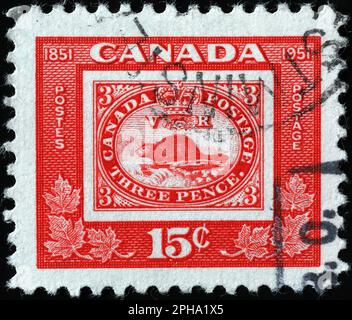 Castor sur l'ancien timbre-poste canadien Banque D'Images
