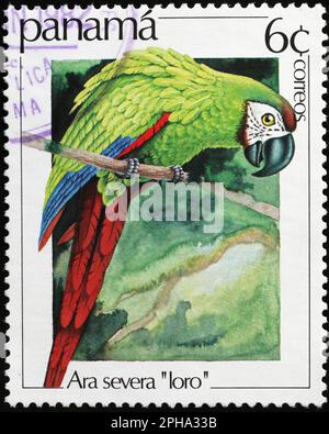 Macaw à la façade de châtaignier sur timbre-poste du Panama Banque D'Images