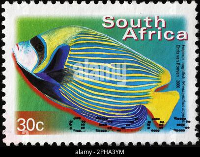 L'empereur angelfish sur le timbre-poste sud-africain Banque D'Images