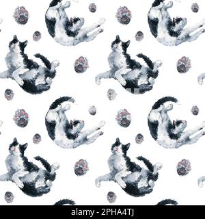 Deux jouent bicolor noir et blanc chats et rose pattes sans couture motif. Aquarelle sur fond blanc. Graphique pour tissu, papier d'emballage Banque D'Images