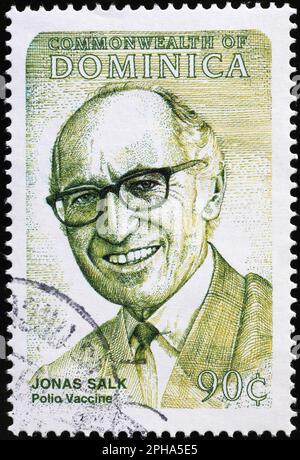 Portrait de Jonas Salk sur timbre-poste de la Dominique Banque D'Images