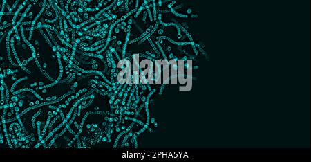 Probiotiques, bactéries lactiques. Bactéries et micro-organismes. Probiotiques microscopiques, flore bactérienne Banque D'Images